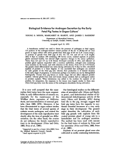 Biological Evidence for Androgen Secretion by the Early Fetal Pig