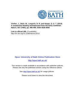- University of Bath Opus