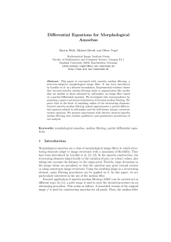 Differential Equations for Morphological Amoebas