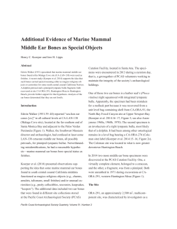 Additional Evidence of Marine Mammal Middle Ear Bones as