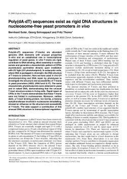 Poly(dA&middot;dT) sequences exist as rigid DNA structures in nucleosome