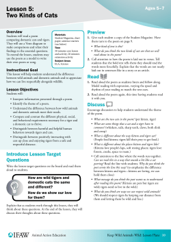 Lesson 5: Two Kinds of Cats