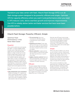 Hitachi Flash Storage - Datasheet
