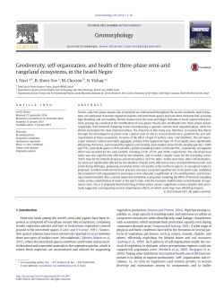 Geodiversity, self-organization, and health of three-phase semi