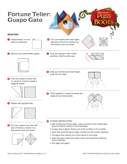 Fortune Teller: Guapo Gato