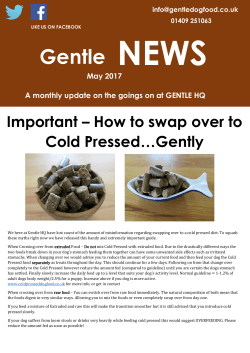 Gentle NEWS - Gentle Dog Food