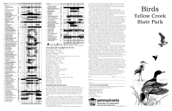 Birds of Yellow Creek State Park, Pennsylvania State Parks