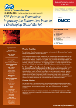 SPE Petroleum Economics: Improving the Bottom Line Value in a