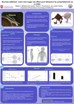 Sucrose addiction: Learn how sugar can affect your behaviour by