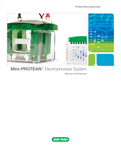 Mini-PROTEAN&reg; Electrophoresis System - Bio-Rad
