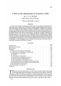 A Note on the Nematocysts of Corynactis viridis