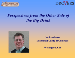 Profit! - Paringa Livestock