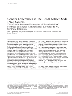 Gender Differences in the Renal Nitric Oxide (NO) System