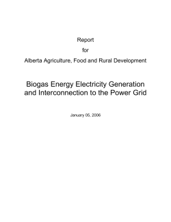 Biogas Energy Electricity Generation and Interconnection to the