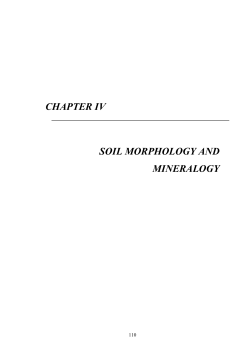 CHAPTER IV SOIL MORPHOLOGY AND MINERALOGY