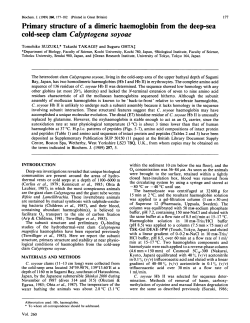 Primary structure of a dimeric haemoglobin from the deep