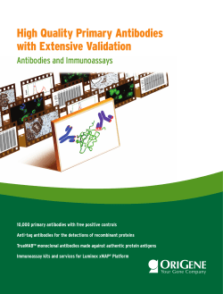 High Quality Primary Antibodies with Extensive Validation