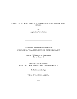 CONSERVATION GENETICS OF BLACK BEARS IN ARIZONA AND