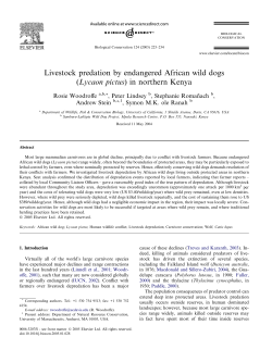 Livestock predation by endangered African wild dogs (Lycaon pictus