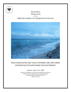 practicing notes and tools for brief and very brief integrative