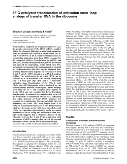 EF-G-catalyzed translocation of anticodon stem&ndash;loop analogs of