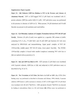 1 Aluminum Fluoride. GST or GST-tagged 5NT (2 µM final) was
