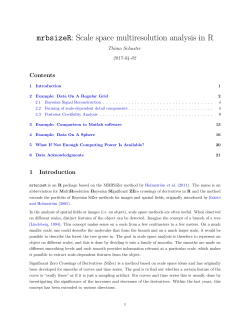 mrbsizeR: Scale space multiresolution analysis in R
