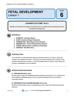 fetal development - Teaching Sexual Health