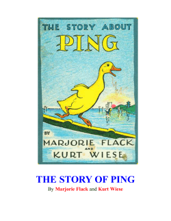 THE STORY OF PING