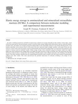 Elastic energy storage in unmineralized and