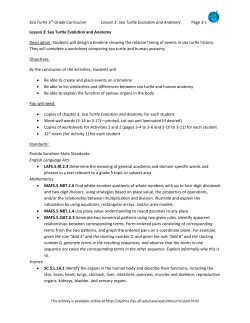 Lesson 3: Sea Turtle Evolution and Anatomy