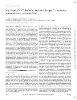Mitochondrial Ca Buffering Regulates Synaptic Transmission