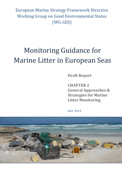 DRAFT MSFD Monitoring Guidance TSG-ML 11072013