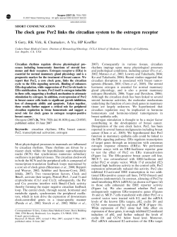 The clock gene Per2 links the circadian system to the estrogen