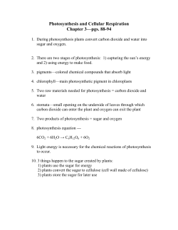 Photosynthesis and Cellular Respiration Chapter 3&mdash;pgs. 88-94