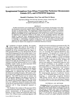 Synaptonemal Complexes from DNase-Treated Rat