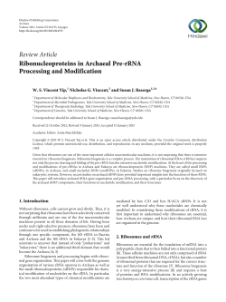 Ribonucleoproteins in Archaeal Pre