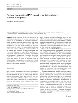 Nucleocytoplasmic mRNP export is an integral part of mRNP