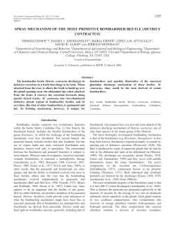 Spray mechanism of the bombardier beetle