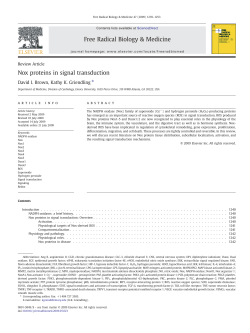 Nox proteins in signal transduction