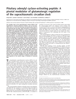 Pituitary adenylyl cyclase-activating peptide
