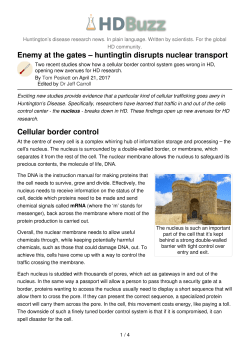 Enemy at the gates &ndash; huntingtin disrupts nuclear transport