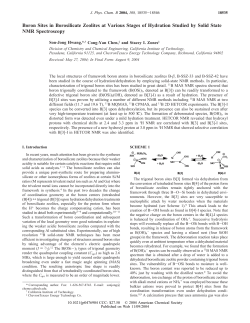 Boron Sites in Borosilicate Zeolites at Various