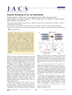 Dynamic Breathing of CO2 by Hydrotalcite