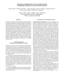 Topology preserving STACS segmentation of protein subcellular