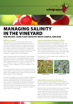 MANAGING SALINITY IN THE VINEYARD