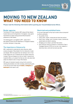 Moving to New Zealand - what you need to know