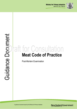 Guidance Document - Meat Code of Practice