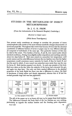 Studies in the Metabolism of Insect Metamorphosis