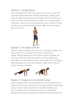 Station 1: Goblet Squat Station 2: Mountain Climber Station 3: Single